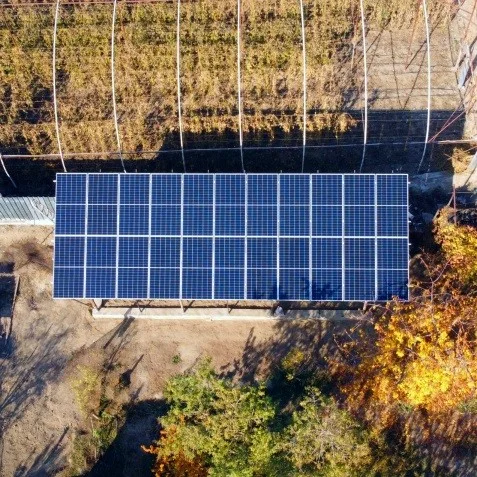 agro-solar-panel-2